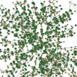 ç¤¾äº¤ç½‘ç»œçš„æµè¡Œå¯†ç 