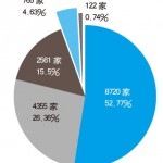 ä¸­å›½ä¼ä¸šç”µå­å•†åŠ¡ITå»ºè®¾æŠ¥å‘Š